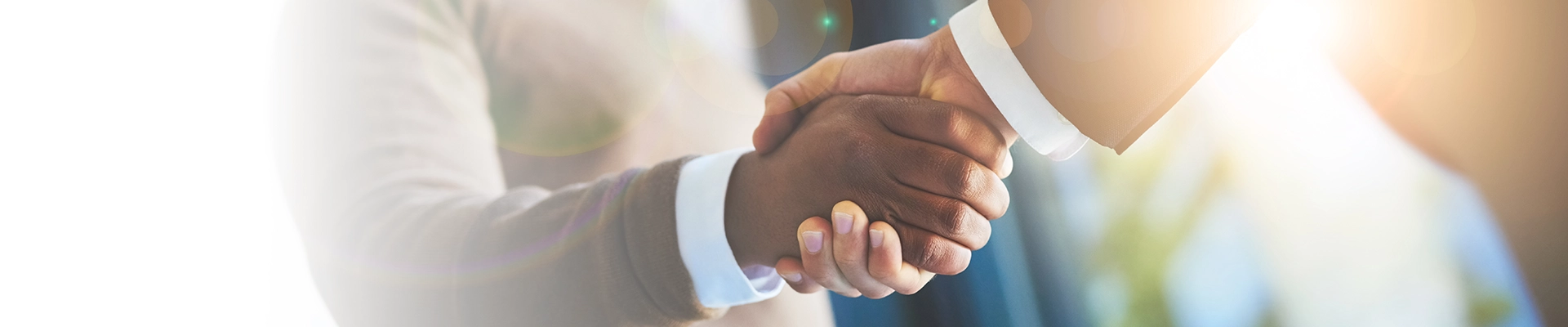 close up of two people shaking hands